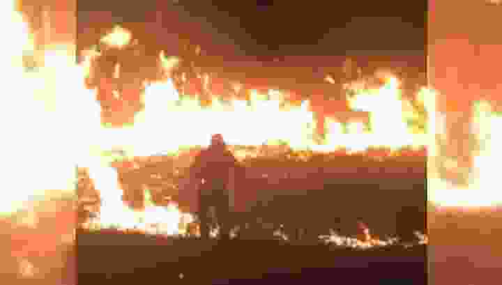 Ростовчане устроили ландшафтный пожар ради «горячего» видео