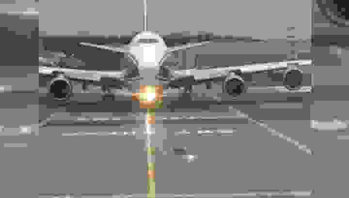 Пассажирский Boeing пропустил лису перед вылетом из Москвы
