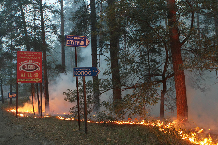 Арендодателей лесных участков могут штрафовать за бездействие при пожарах 