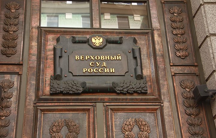 Адвокаты проанализировали выводы Верховного Суда по делу Ларисы Долиной