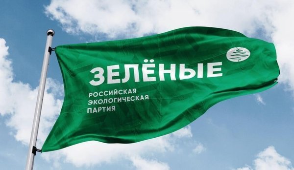 "Зеленые" выступают за отсрочку по налогам для пострадавших от пожаров на складах